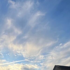 Meet your Posher, Noelia